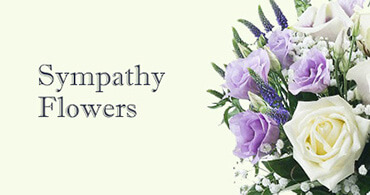 Sympathy Flowers Kentish Town